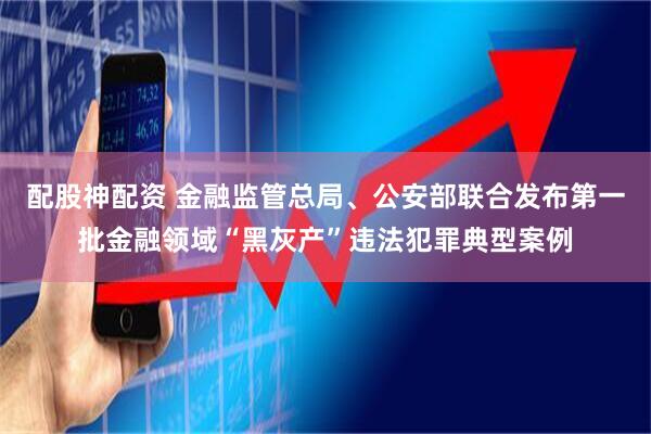 配股神配资 金融监管总局、公安部联合发布第一批金融领域“黑灰产”违法犯罪典型案例