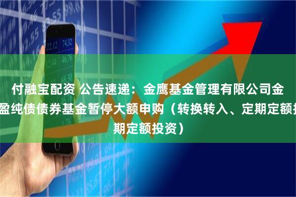 付融宝配资 公告速递:金鹰基金管理有限公司金鹰添盈纯债债券基金暂停大额申购(转换转入、定期定额投资)